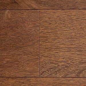 Brazilian Chestnut